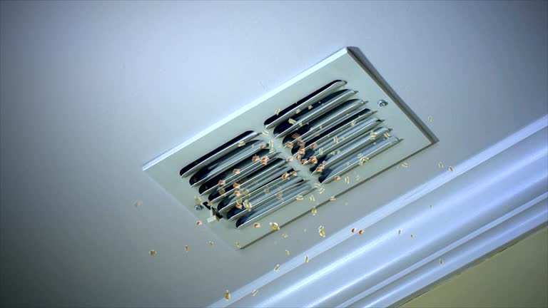Best HVAC Duct Inspection Services  in Espy, PA