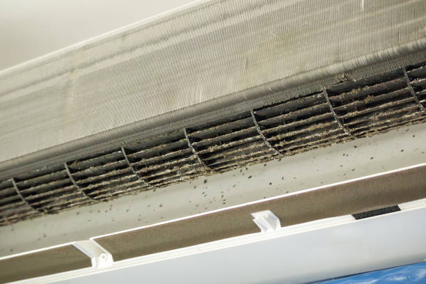 Best Air Vent Cleaning Services  in Espy, PA